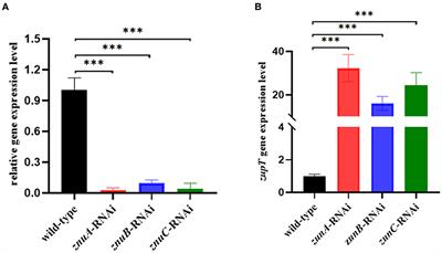 Virulence regulation of Zn2+ uptake system znuABC on mesophilic Aeromonas salmonicida SRW-OG1